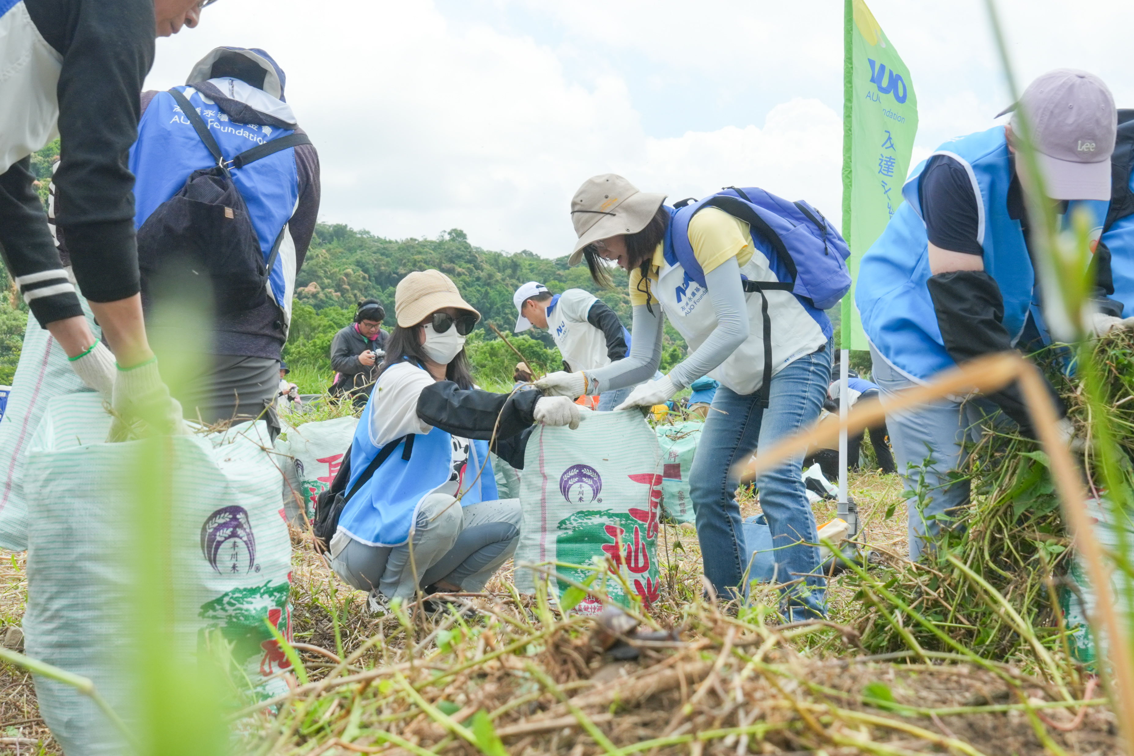 lehu樂虎88除蔓防治計畫，除了鎖定霄裡溪沿岸3.2公里移除外來入侵種小花蔓澤蘭，並進行物種與空拍調查，共記錄91科181屬239種維管束植物，顯示該區域具高度生態價值